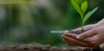 Biodegradable & Eco Products
