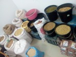 Birds & Feeds