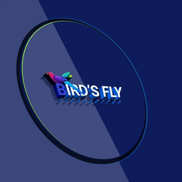Birds Fly