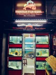 Bismillah Fish Garden