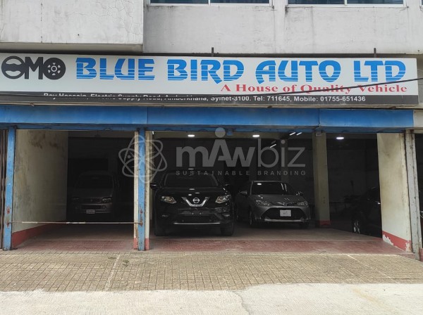 Blue Bird Auto Ltd