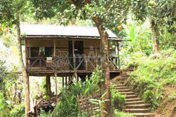 Bono Nibash Hill Resort Bandarban