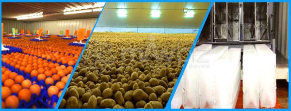 BRAC Cold Storage and Ice Plant