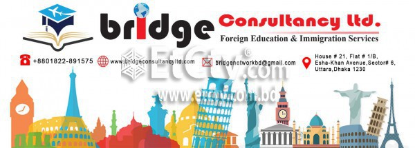 Bridge Consultancy Ltd.