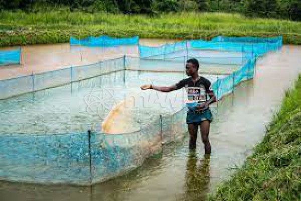Bristi Fishery Project