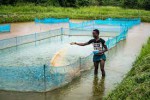 Bristi Fishery Project