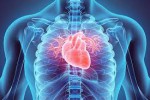 Cardiac - Ad-din Hospital