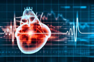 Cardiac - Ibn Hospital