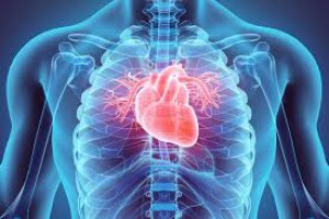 Cardiac Surgary - JBFH