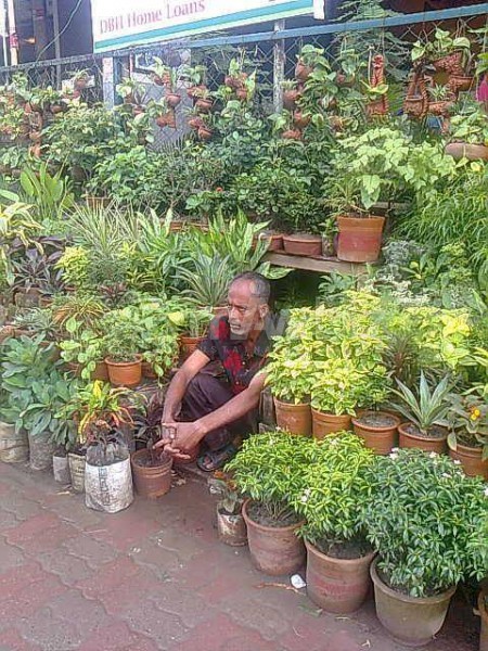 Chondrima Nursery