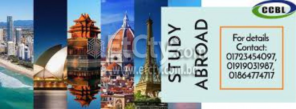 City Consultancy Limited