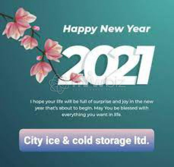 City Ice & Cold Storage ltd.