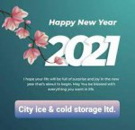 City Ice & Cold Storage ltd.