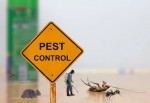 Clean Heart(Pest Control)