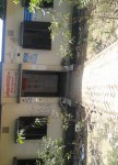 Coat Bazar Community Clinic ,...