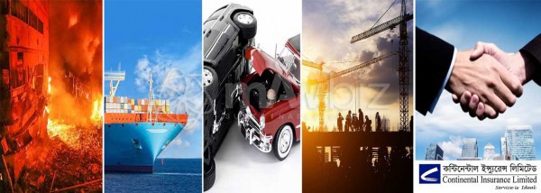 Continental Insurance Limited