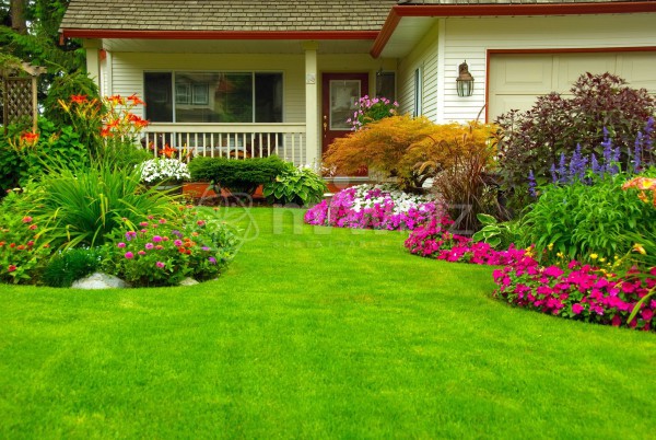 Corporate Care(Gardening)