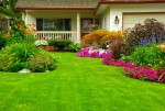 Corporate Care(Gardening)