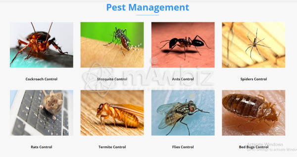 Corporate Care(Pest Management)