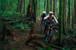 Cycle Biponi