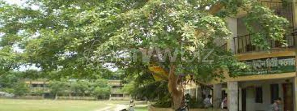 Dactar Afiluddin College