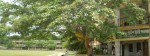 Dactar Afiluddin College