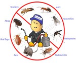 DCS Organization Ltd(Pest Control)