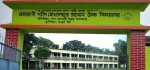 Demajani S M R High School, Bogura