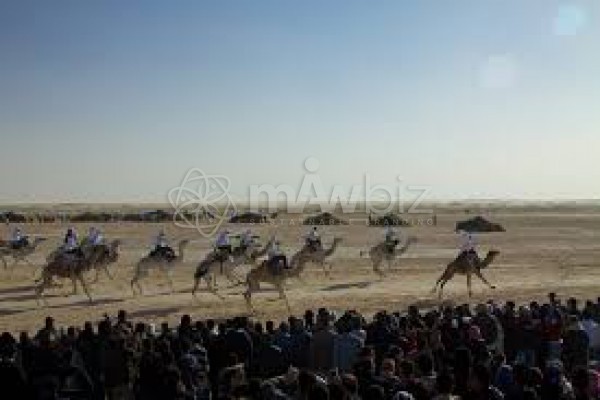 Desert Life International
