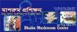 Dhaka Mushroom Center
