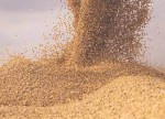 Dhaka Poultry Feed