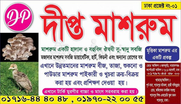 Dipta Mushroom Agro Farm