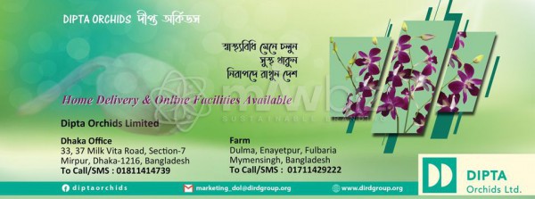 Dipta Orchids