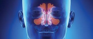 ENT Cancer - ENT and Head-Neck Cancer Hospital and Institute