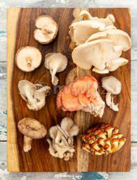 Family Mushroom Farm