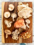 Family Mushroom Farm