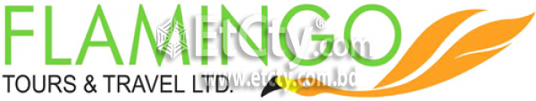 Flamingo Tours & Travel Ltd