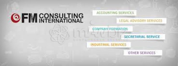 FM Consulting International