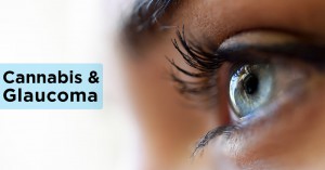 Glaucoma - VEH