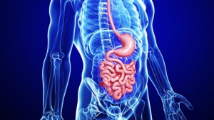 Square Gastroenterology Centre - Square Hospitals