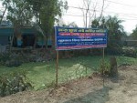 Global Poultry and Fish Feed LTD.