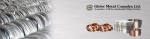 GLOBE METAL COMPLEX LIMITED
