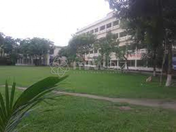 Govt. Hargonga College