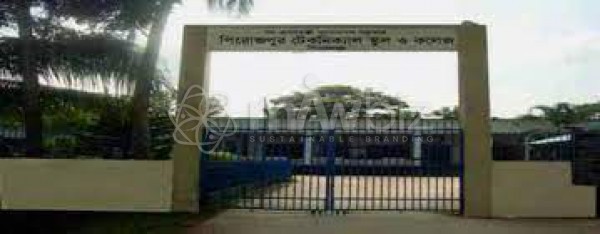 Govt. Technical School and College, Pirojpur