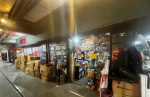 Grasshoppers Arts