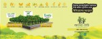 Greenatic Limited