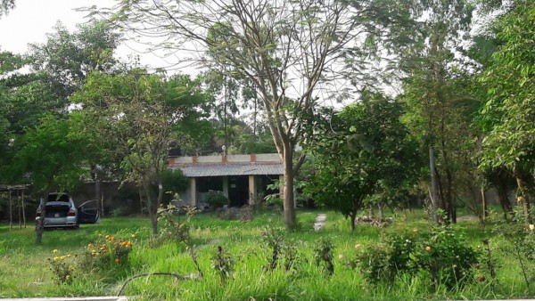 Gulancha Green Garden