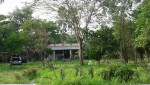 Gulancha Green Garden