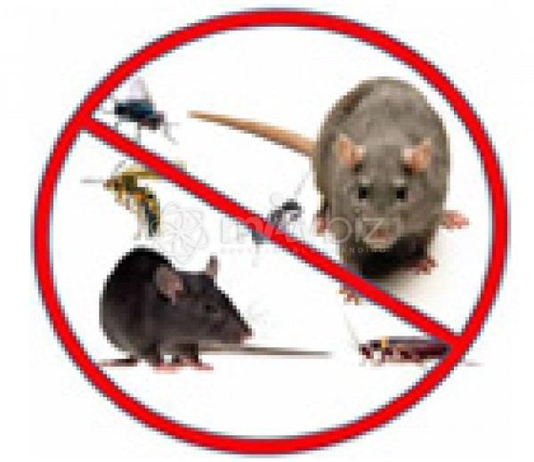 Gulshan Clean & Care(Pest Control)