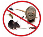 Gulshan Clean & Care(Pest Control)